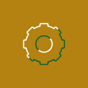 REALISE PROJECT